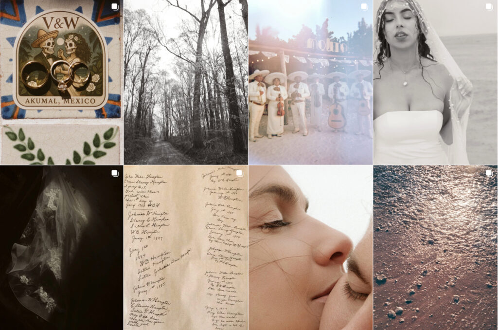 a mix of analogue and digital i mages creating a moodboard of textures, portraits and nature